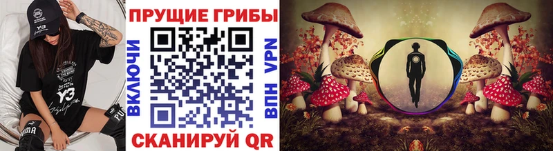 Галлюциногенные грибы MAGIC MUSHROOMS  купить наркотик  Таруса 