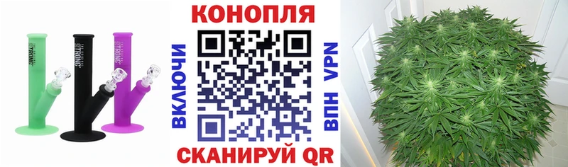 где купить наркоту  Таруса  Бошки марихуана SATIVA & INDICA 